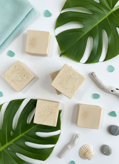 Beige soap bars on a white surface with green leaves and seashells.